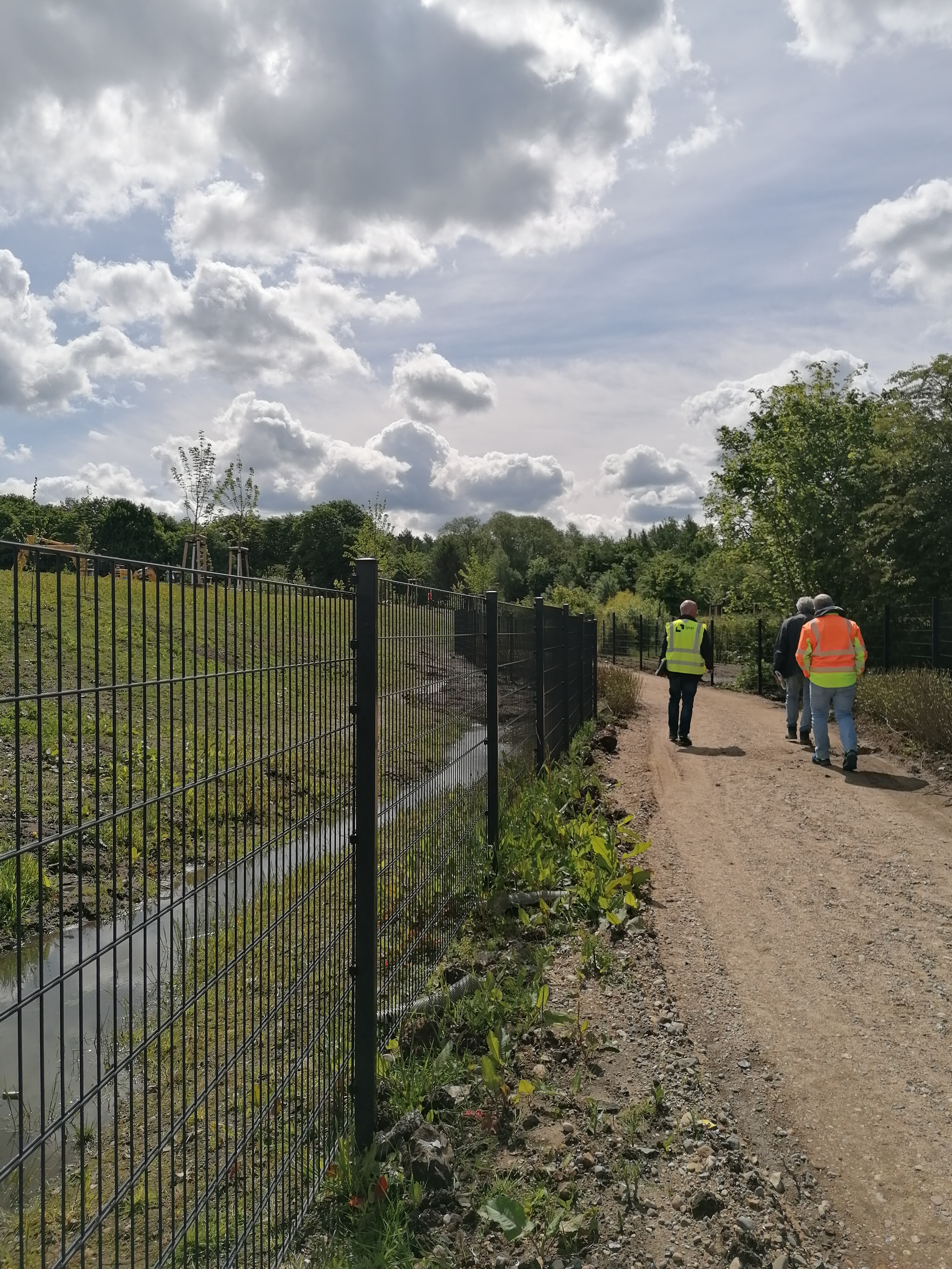 MicrosoftTeams-image (1)