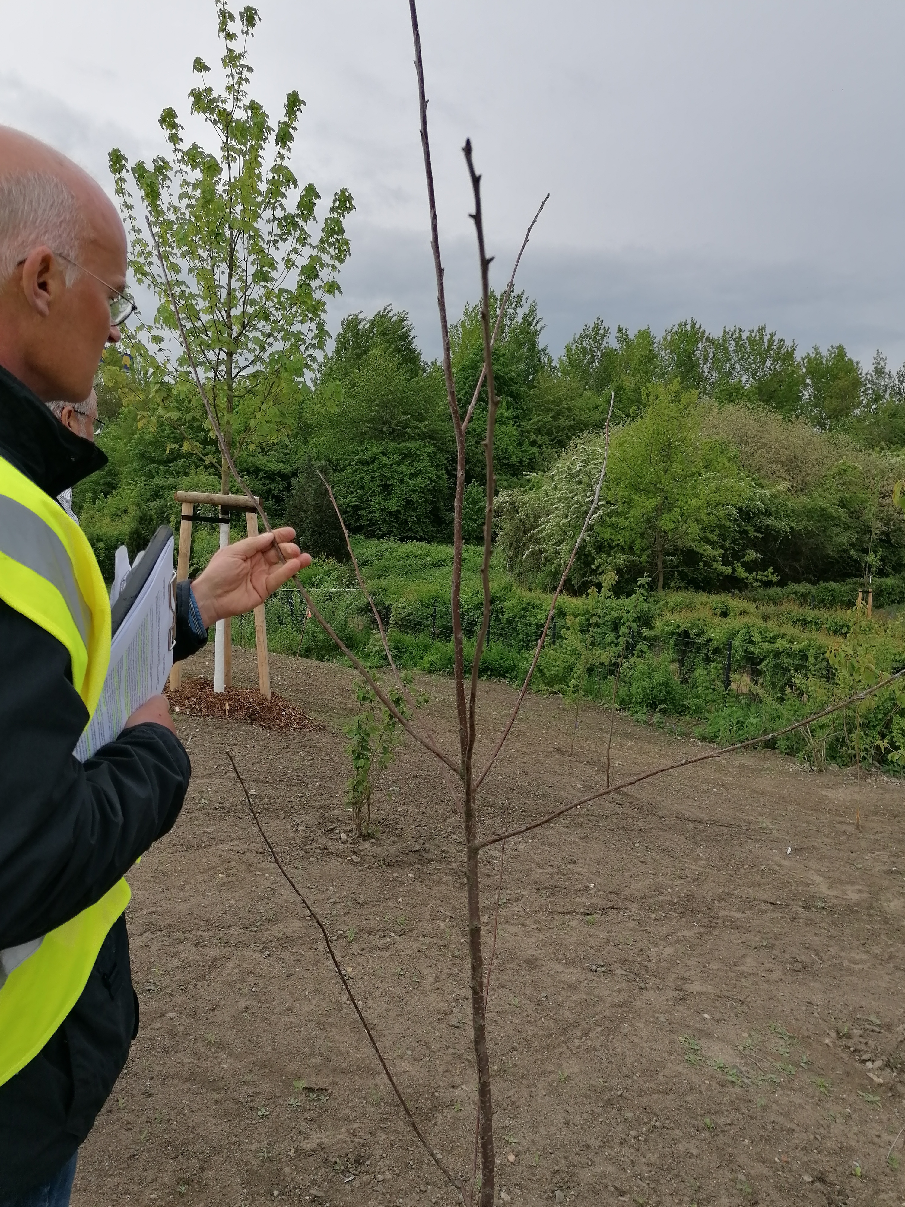 MicrosoftTeams-image
